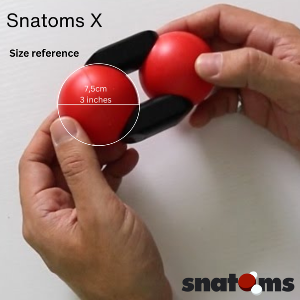 SnatomsX Molecule Model Size