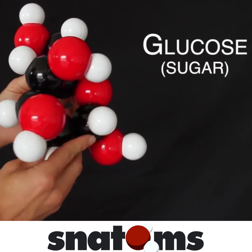 Snatoms X Glucose Modelling Kit